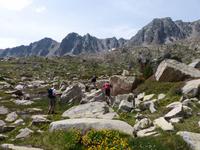 153. Grau Roig- els pessons