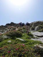 157. Grau Roig- els pessons