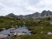 165. Grau Roig- els pessons