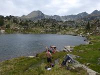 169. Grau Roig- els pessons