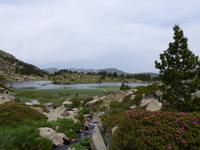 170. Grau Roig- els pessons