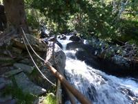 102 Botanischer Garten