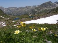 105. Vall d'Incles