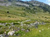 116 Natur
