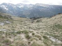 Wanderung im Vall d'Incles - oberhalb der Baumgrenze