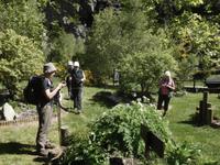 Wanderung im Sorteny Nationalpark - botanischer Garten