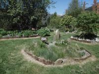 Wanderung im Sorteny Nationalpark - botanischer Garten