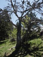 Wanderung im Sorteny Nationalpark