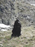 Wanderung im Sorteny Nationalpark - Ignacies Hündin Durna