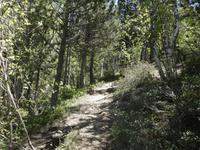 Wanderung im Sorteny Nationalpark