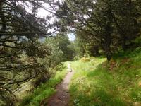 Wanderung Vall del Riu - Wanderweg