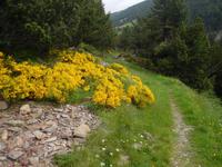 Wanderung Vall del Riu - Wanderweg