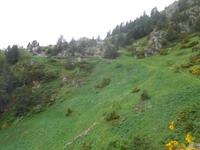 Wanderung Vall del Riu - Wanderweg