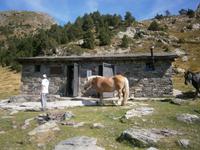 Schutzhütte Refugio de la Vall 2160m
