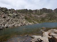 161. Grau Roig- els pessons