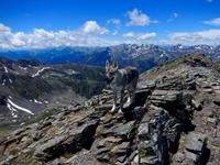 Selen auf dem Pic de la Serrera