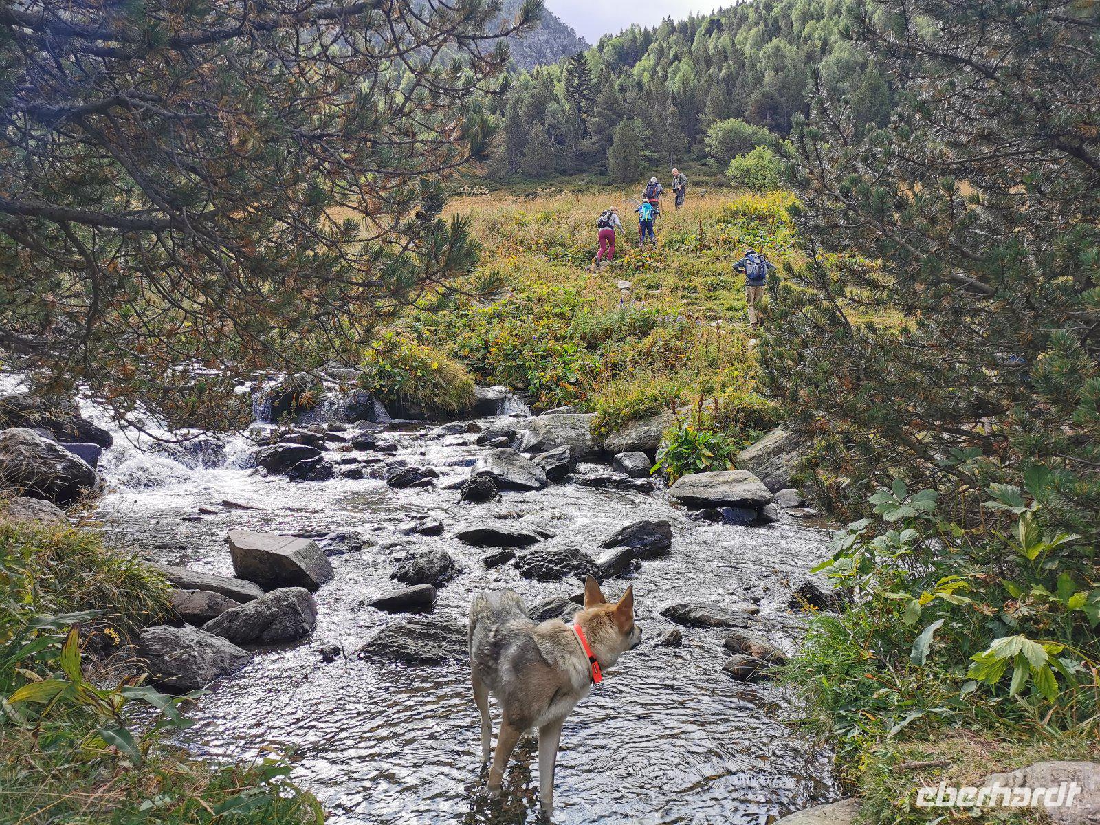 Parc Natural de Sorteny