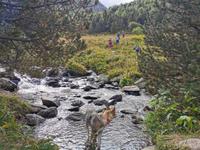 Parc Natural de Sorteny