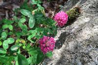 Wanderung im UNESCO-Weltnaturerbe Gletschertal von Madriu