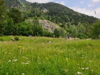 Wanderung im UNESCO-Weltnaturerbe Gletschertal von Madriu