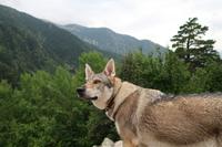 Wanderung im UNESCO-Weltnaturerbe Gletschertal von Madriu