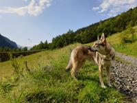 Wanderung im  Naturpark Comapedrosa zur gleichnamigen Schutzhütte