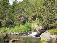 Wanderung im  Naturpark Comapedrosa zur gleichnamigen Schutzhütte