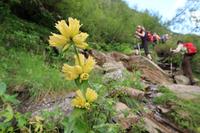 Wanderung im  Naturpark Comapedrosa zur gleichnamigen Schutzhütte