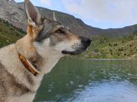 Wanderung im  Naturpark Comapedrosa zur gleichnamigen Schutzhütte
