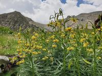 Wanderung im  Naturpark Comapedrosa zur gleichnamigen Schutzhütte