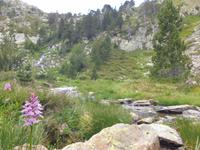 Wanderung im  Naturpark Comapedrosa zur gleichnamigen Schutzhütte