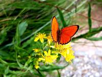 Wanderung im  Naturpark Comapedrosa zur gleichnamigen Schutzhütte