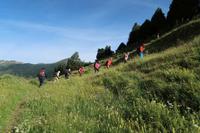 Wandern im Tal von Incles (Vall d'Incles)