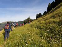 Wandern im Tal von Incles (Vall d'Incles)