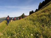 Wandern im Tal von Incles (Vall d'Incles)