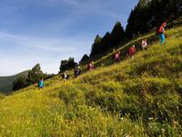 Wandern im Tal von Incles (Vall d'Incles)