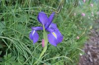 Wandern im Tal von Incles (Vall d'Incles)