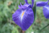 Wandern im Tal von Incles (Vall d'Incles)