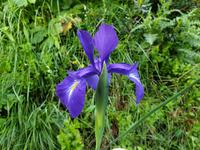 Wandern im Tal von Incles (Vall d'Incles)