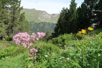 Wandern im Tal von Incles (Vall d'Incles)