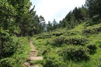 Wandern im Tal von Incles (Vall d'Incles)