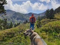 Wandern im Tal von Incles (Vall d'Incles)