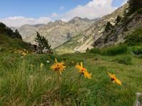 Wandern im Tal von Incles (Vall d'Incles)