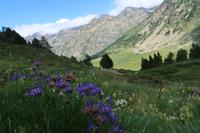 Wandern im Tal von Incles (Vall d'Incles)