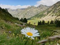 Wandern im Tal von Incles (Vall d'Incles)