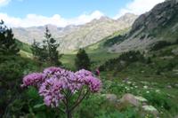 Wandern im Tal von Incles (Vall d'Incles)