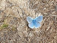 Wandern im Tal von Incles (Vall d'Incles)