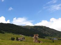 Wandern im Tal von Incles (Vall d'Incles)