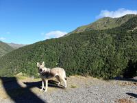 Gipfelbesteigung in Sorteny Naturpark zum Gipfel Pic de l’Estanyó
