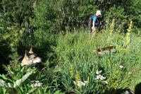 Gipfelbesteigung in Sorteny Naturpark zum Gipfel Pic de l’Estanyó